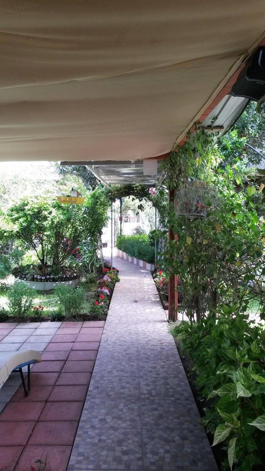 Hostal El Parque تابابيلا المظهر الخارجي الصورة